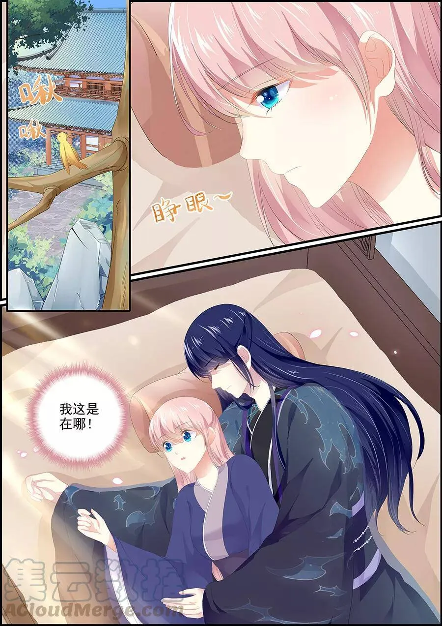 第173话 原来是狐狸呀0