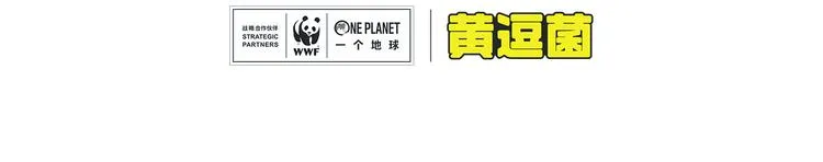 科普番外——印度支那虎4
