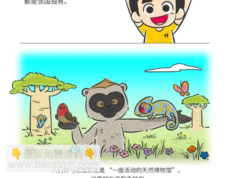 科普番外——马达加斯加1