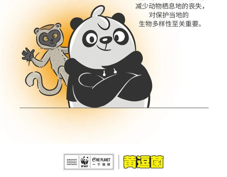 科普番外——马达加斯加3