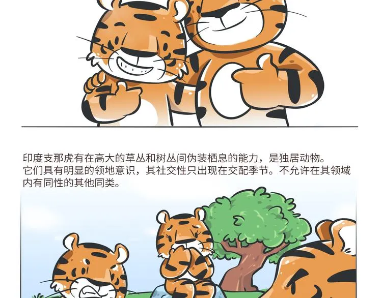 科普番外——印度支那虎1