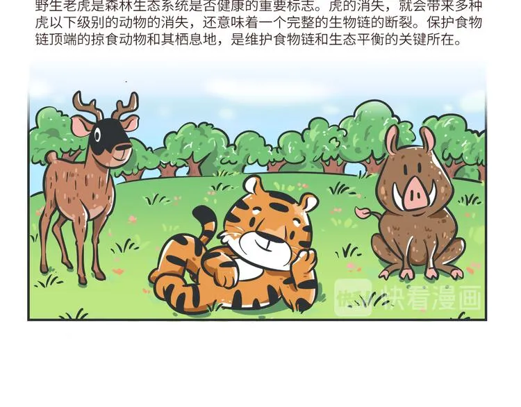 科普番外——印度支那虎3