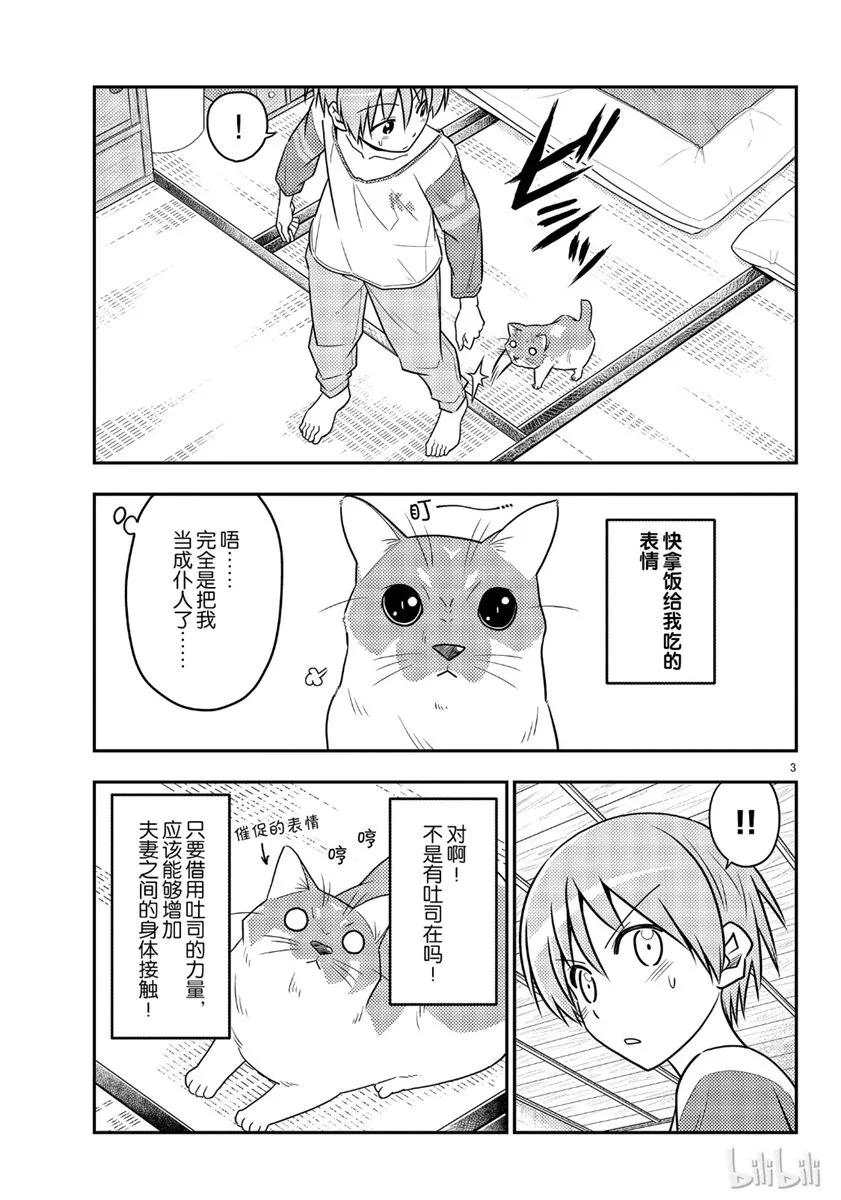 53 第53话“猫 vs 夫妻”2