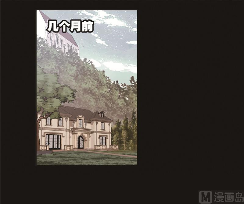 248（1） 勤奋的凤凰（1）1