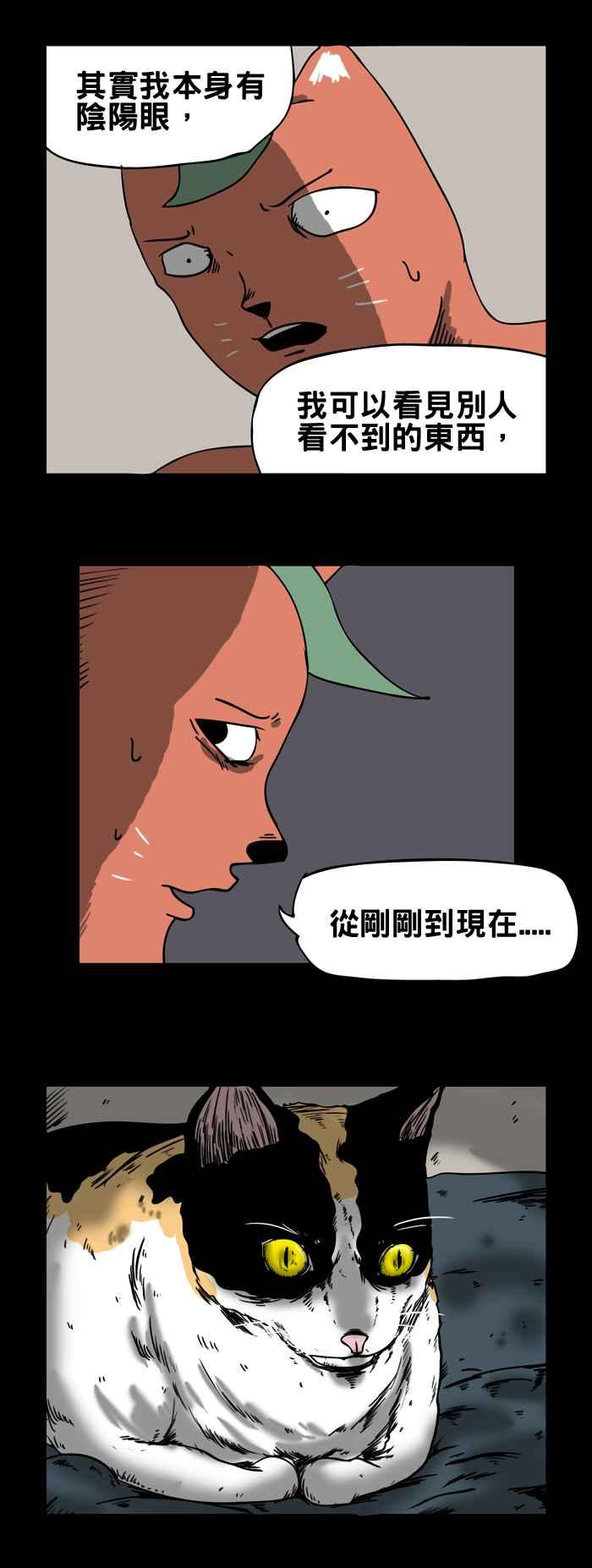 [第75话] 来历不明的猫3