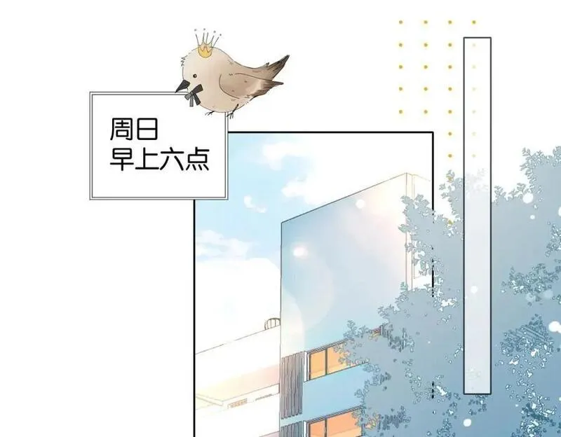 第71话 小奶猫4