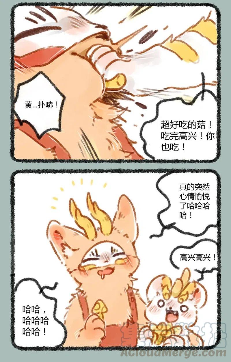 063 又到了吃蘑菇的季节2