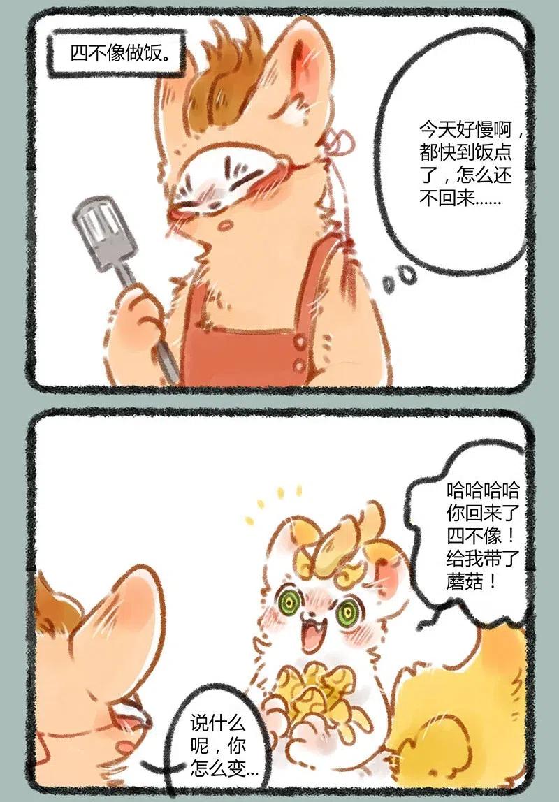 063 又到了吃蘑菇的季节1