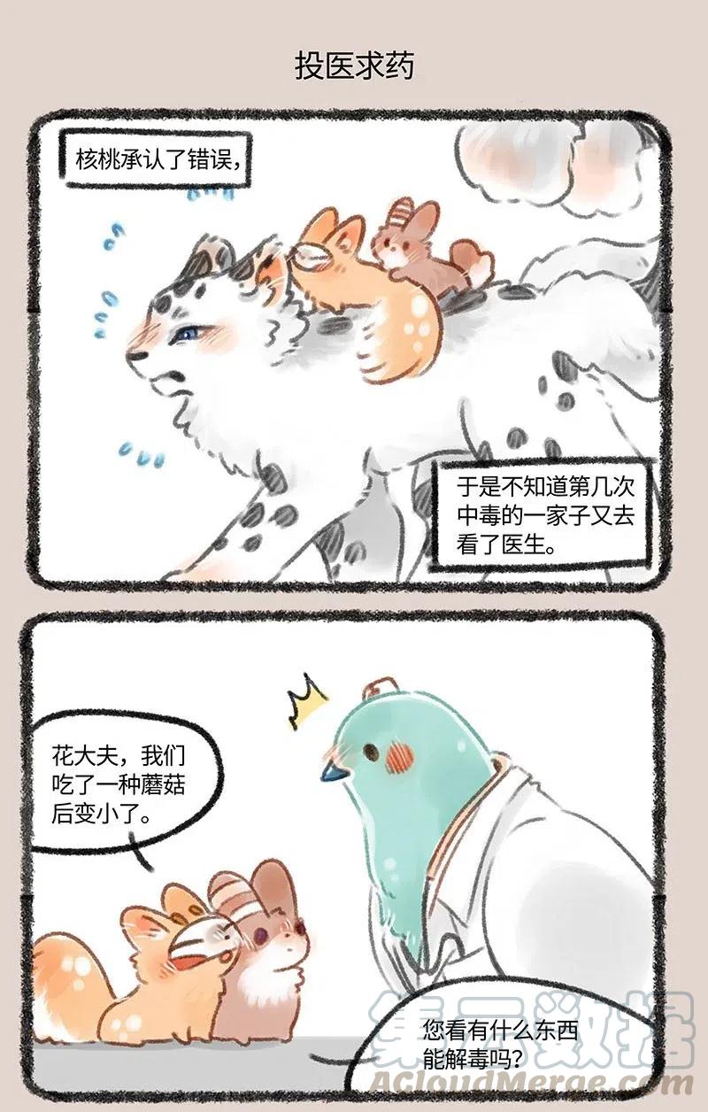 180 又见蘑菇4