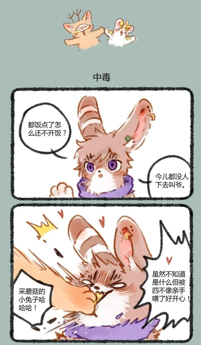 063 又到了吃蘑菇的季节3