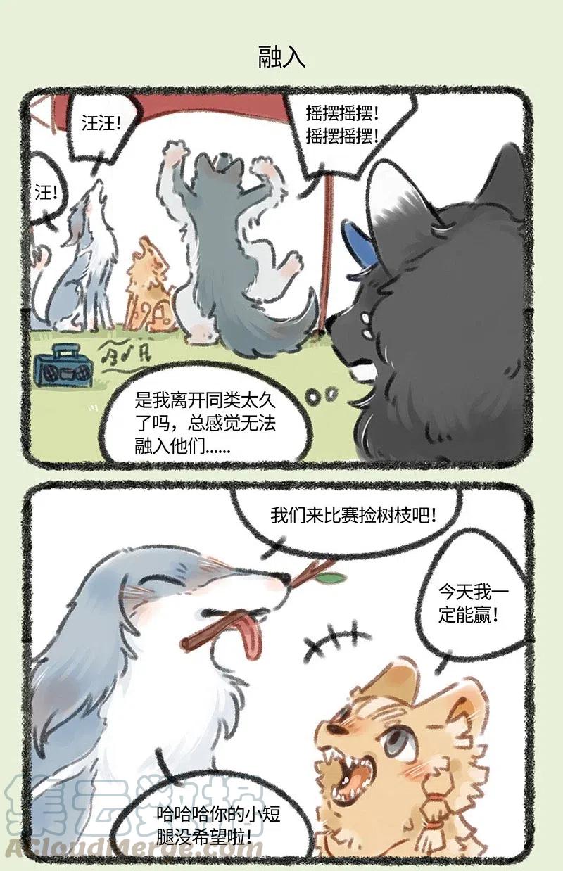 094 神犬撒浪嗨聚会4