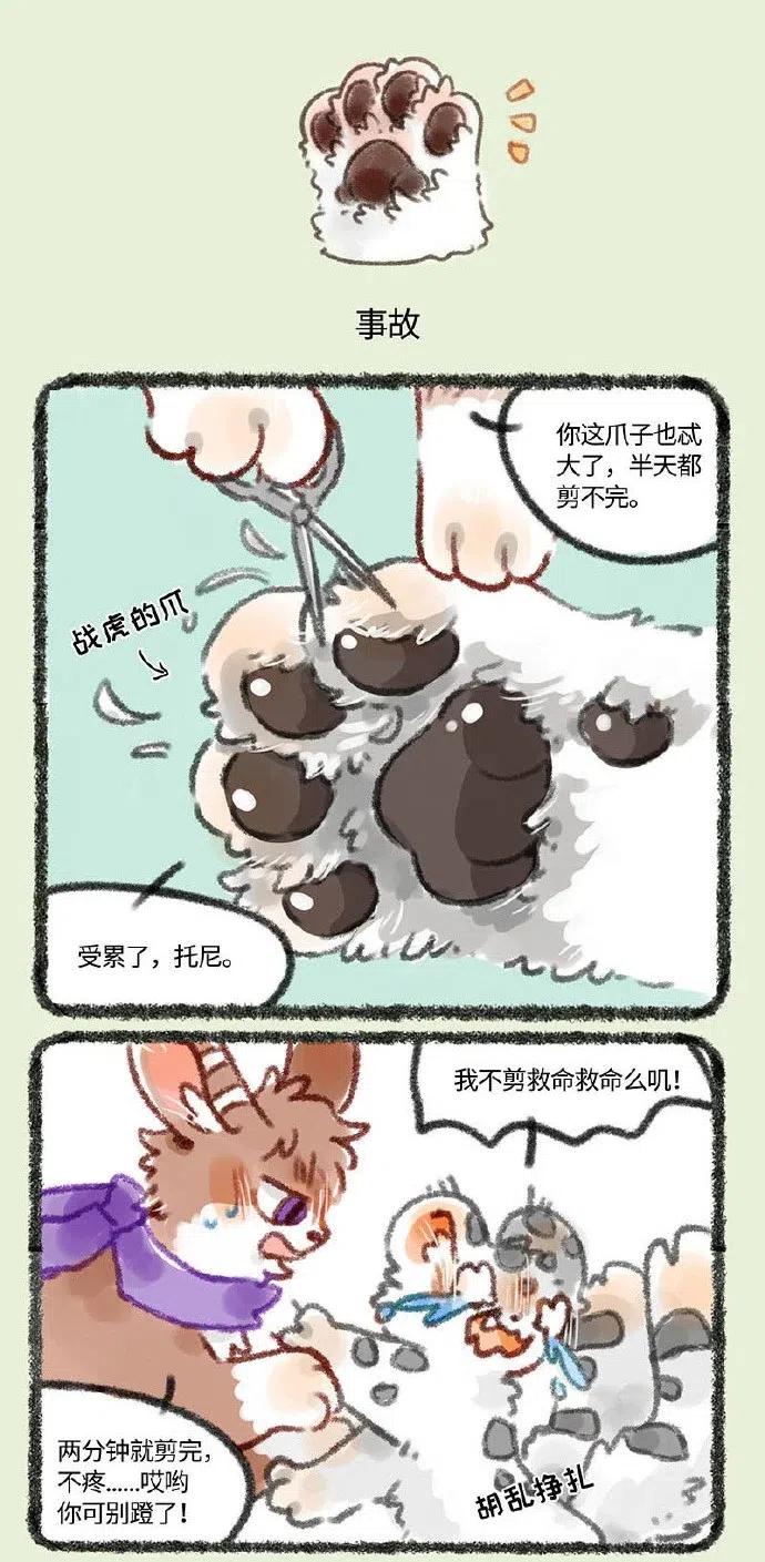 244 剪爪毛3