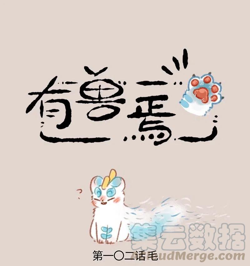 102 废毛利用0