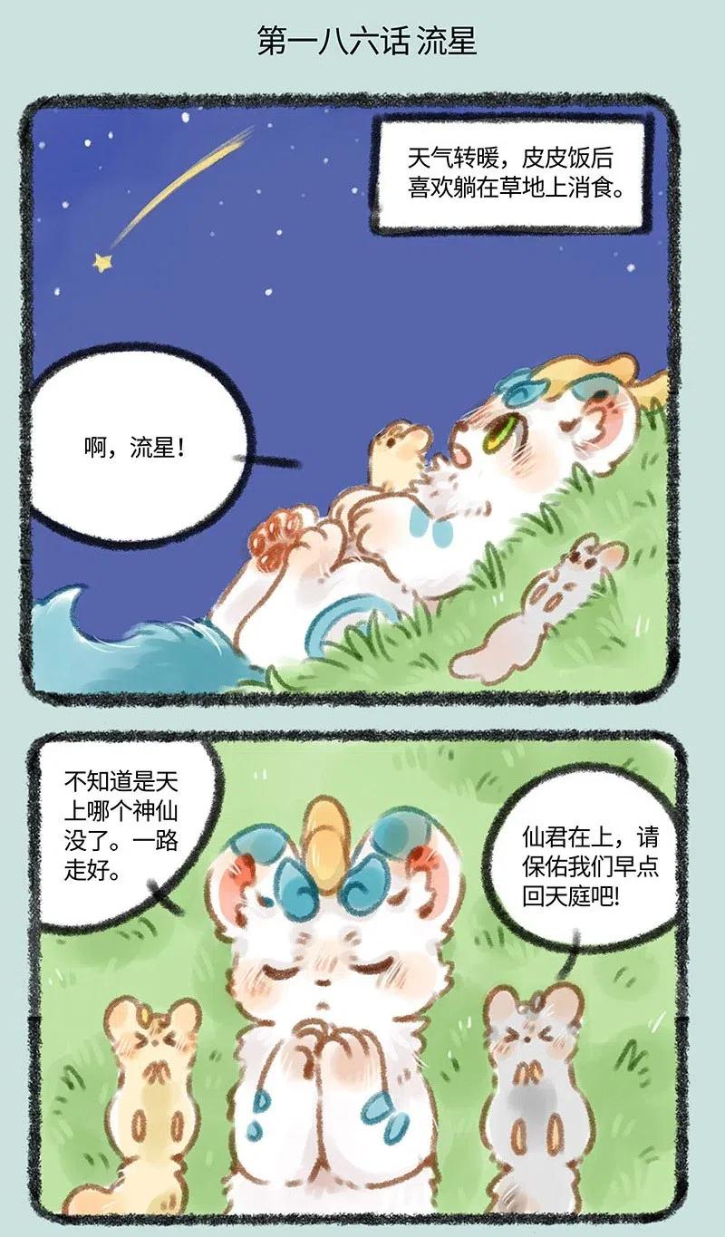 186 流星1