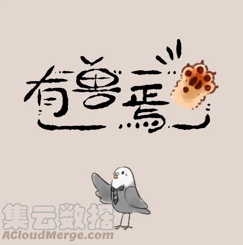 138 天王巨星0