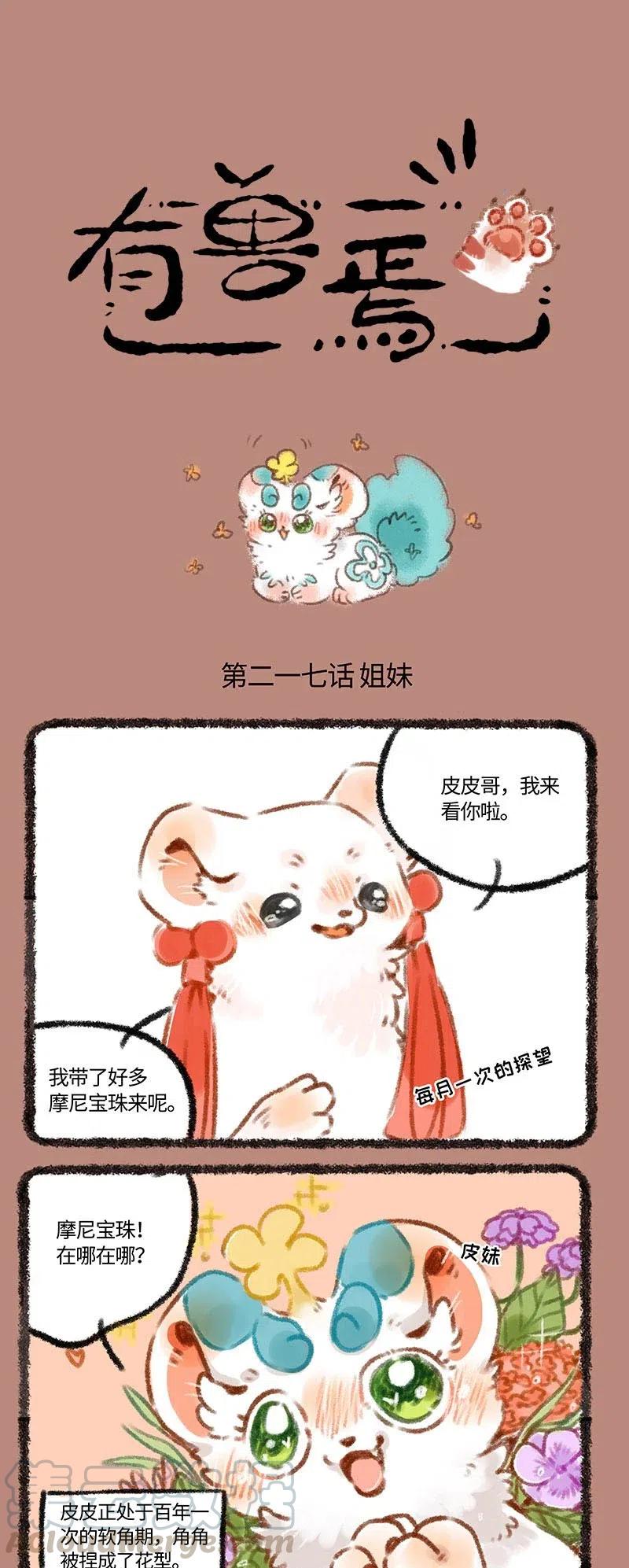217 姐妹0