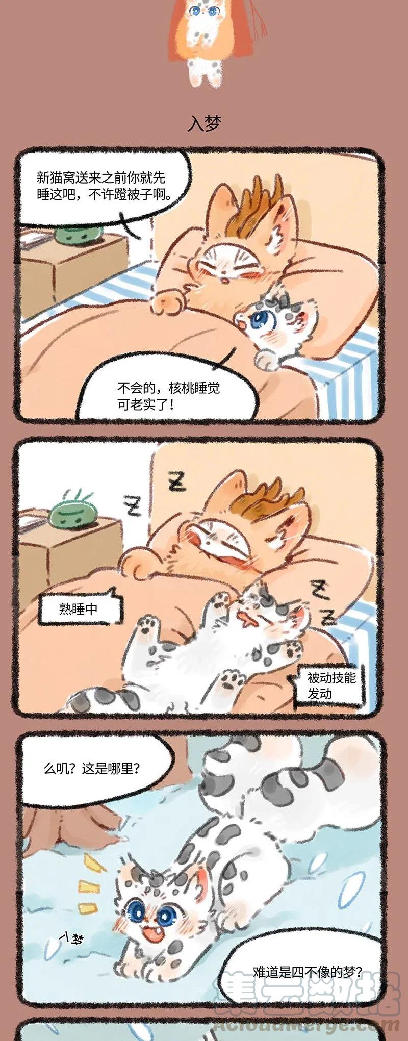 199 核桃核桃入梦来2