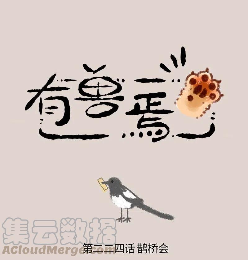 224 鹊桥会0