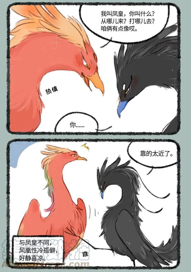 215 凤皇与风凰4
