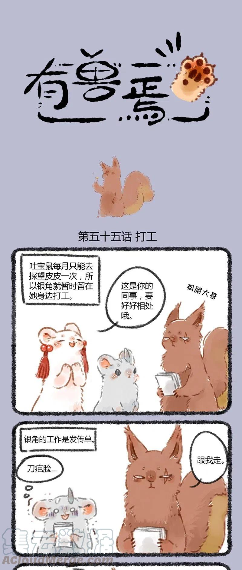 055 松鼠大哥0