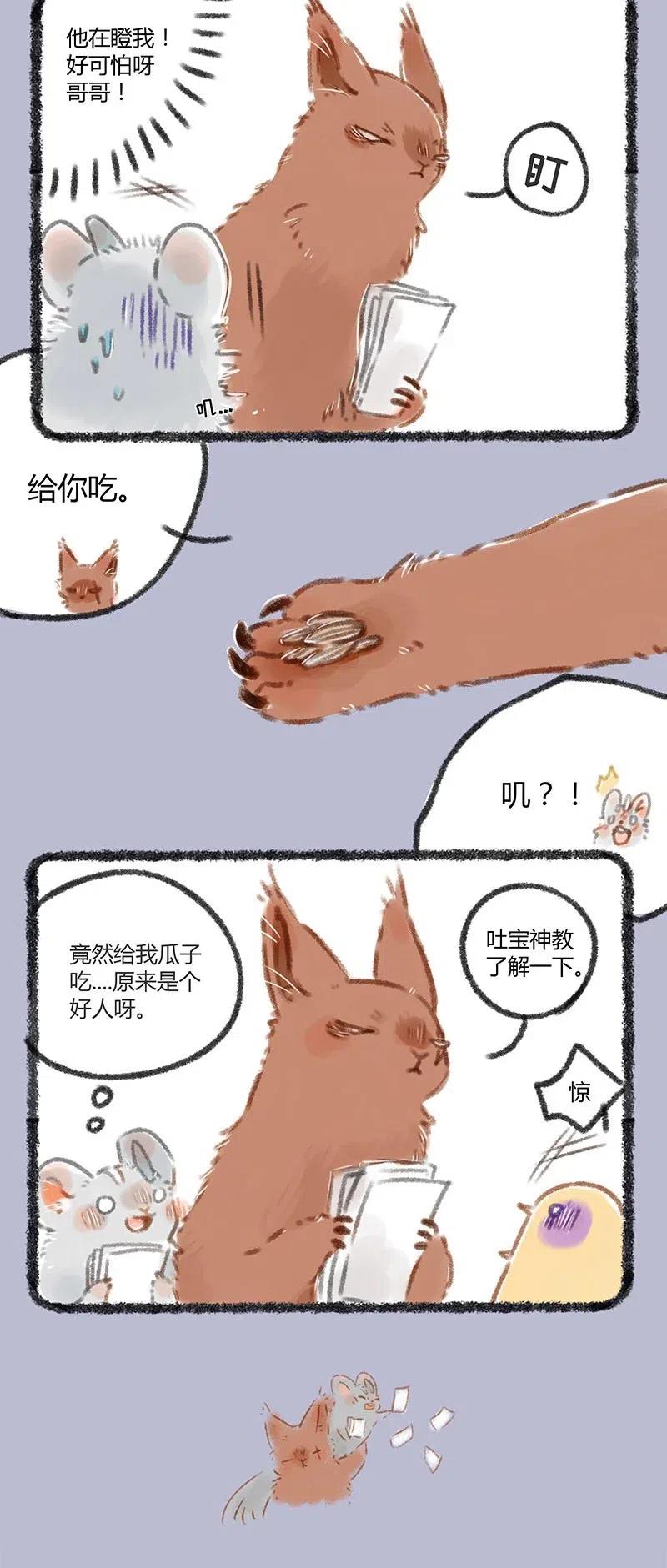 055 松鼠大哥1