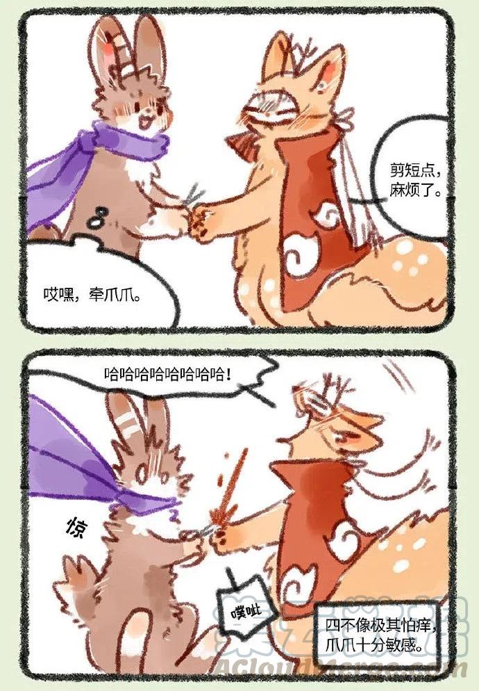 244 剪爪毛4