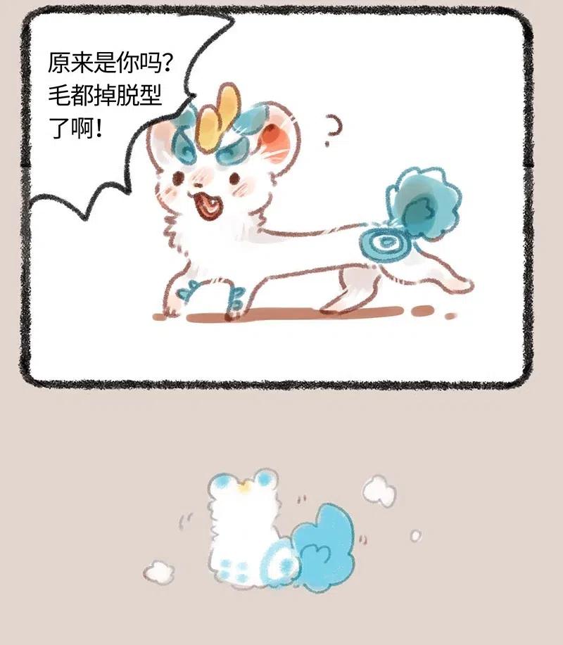 102 废毛利用3