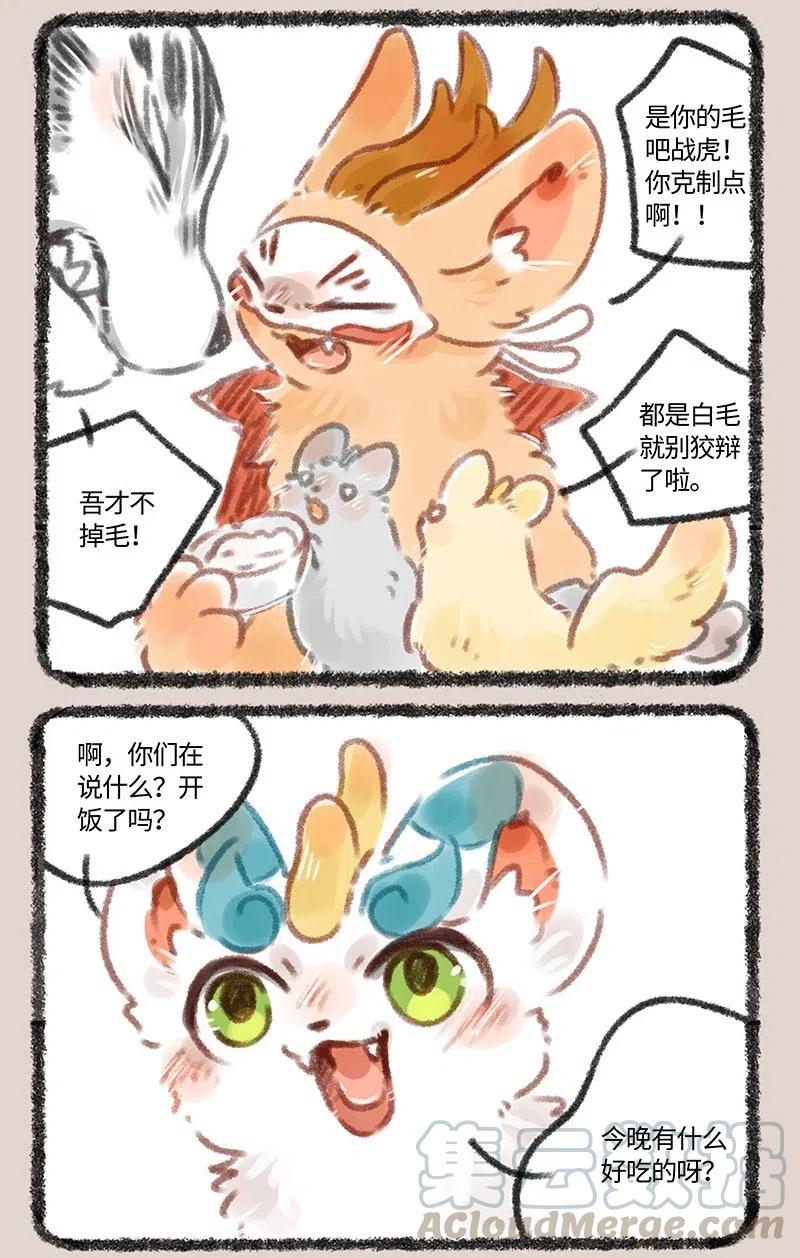 102 废毛利用2