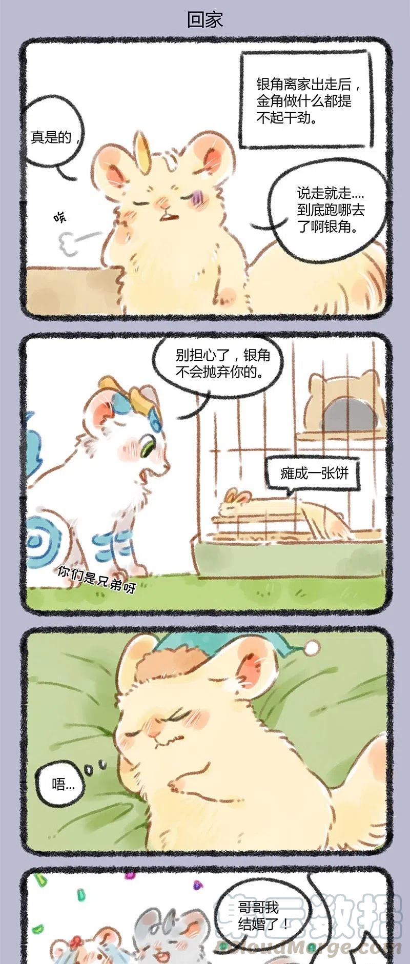 055 松鼠大哥2