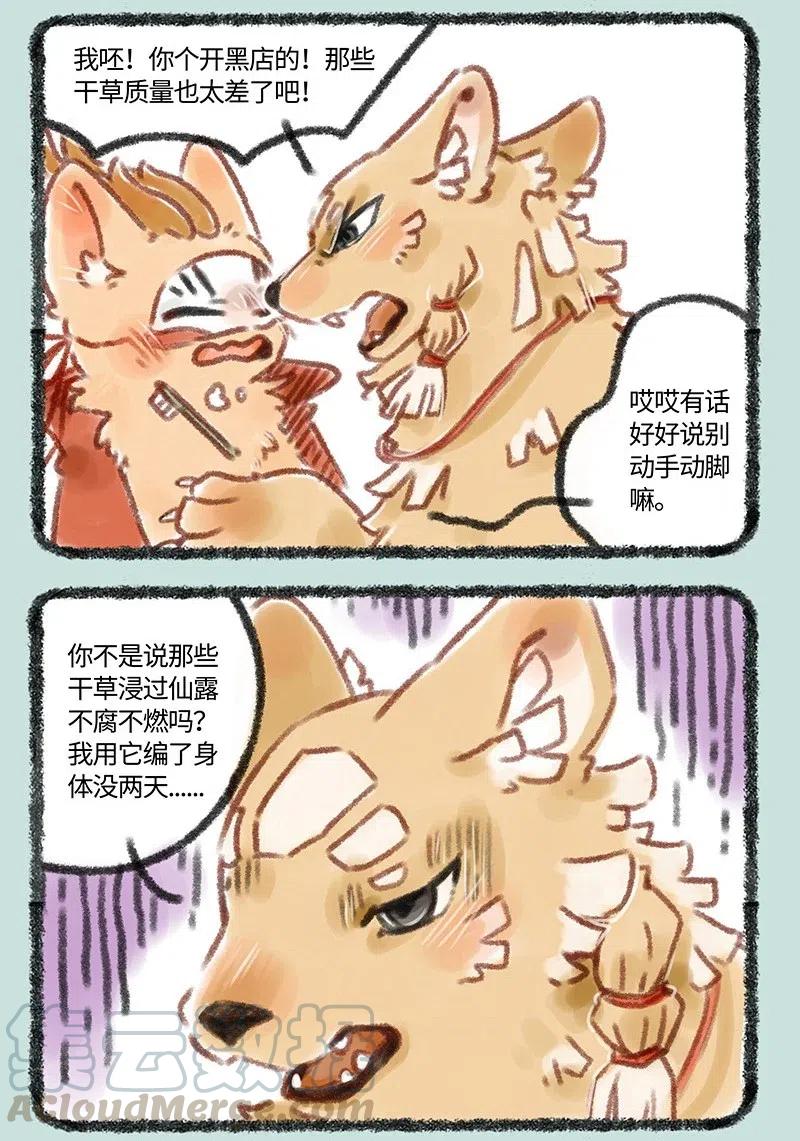 080 刍狗登场2
