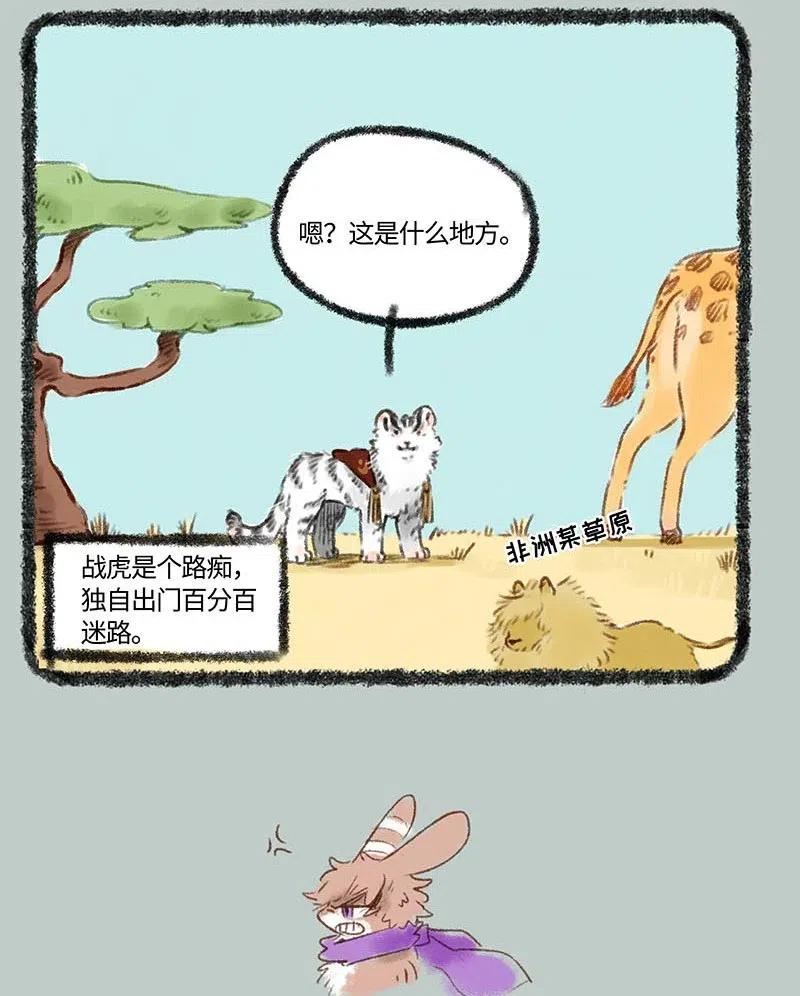 219 一只虎的好天气3