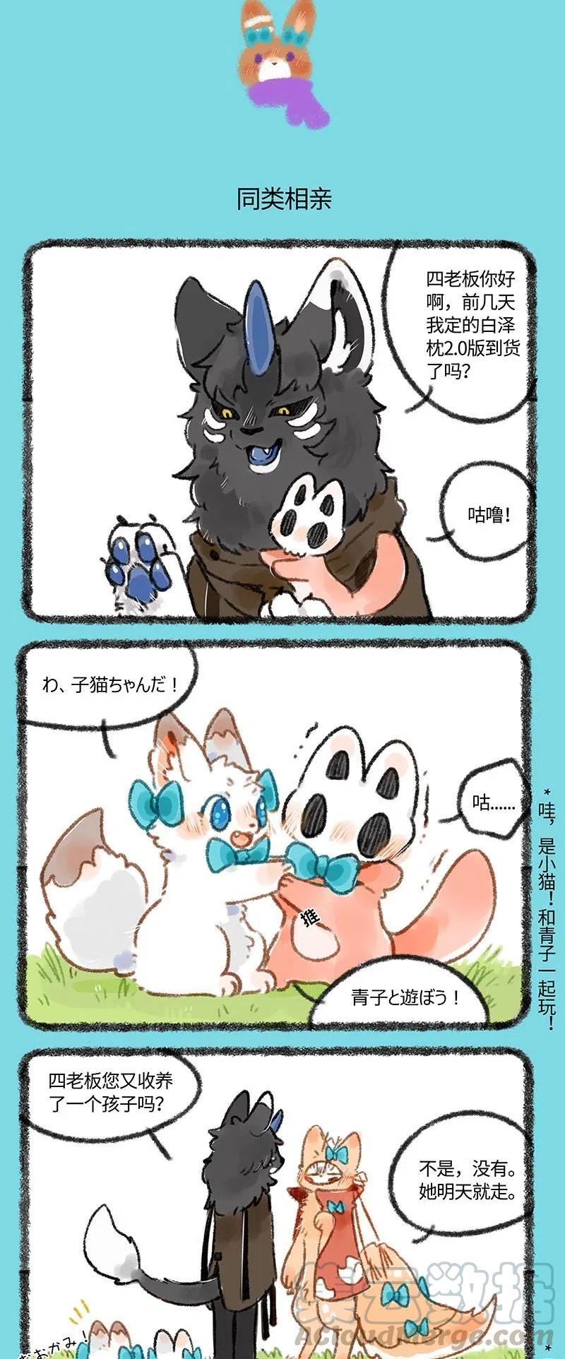 237 新来的青子2