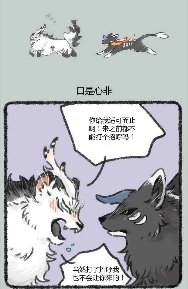 021 白泽先生3