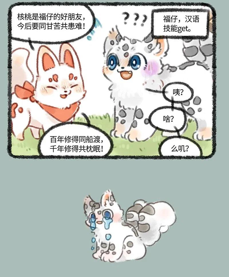 190 教福仔学汉语3