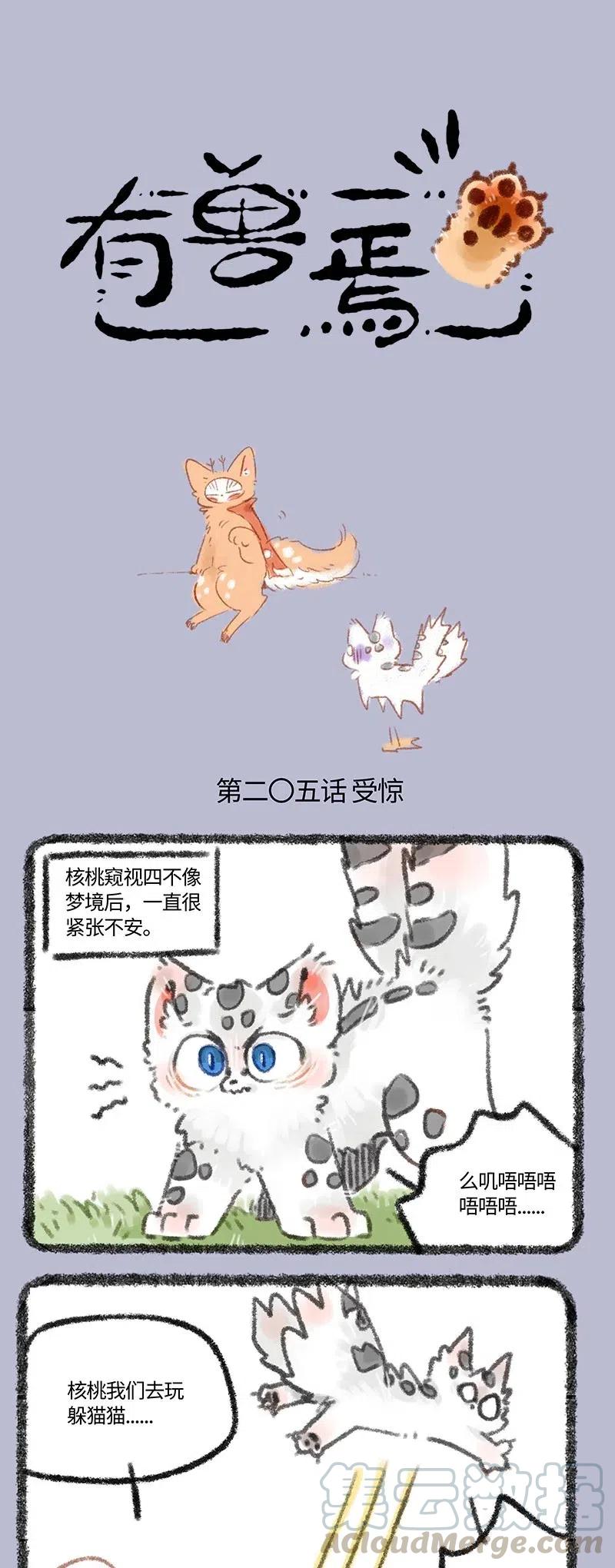 205 核桃要振作0