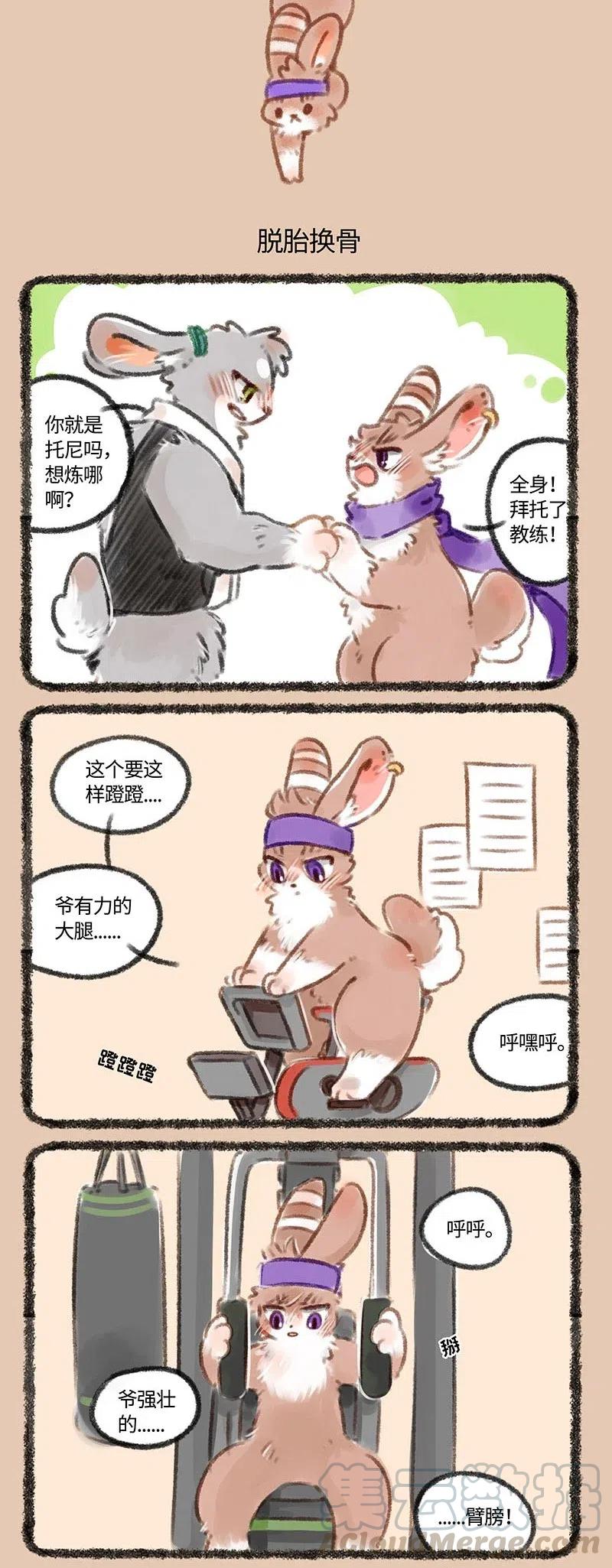 167 兔爷的初心2