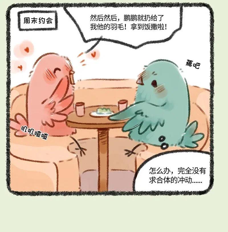 197 凤凰大人复出3