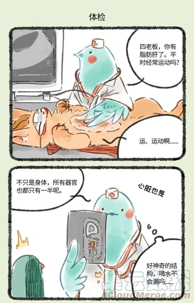 074 花蕊鸟大夫4