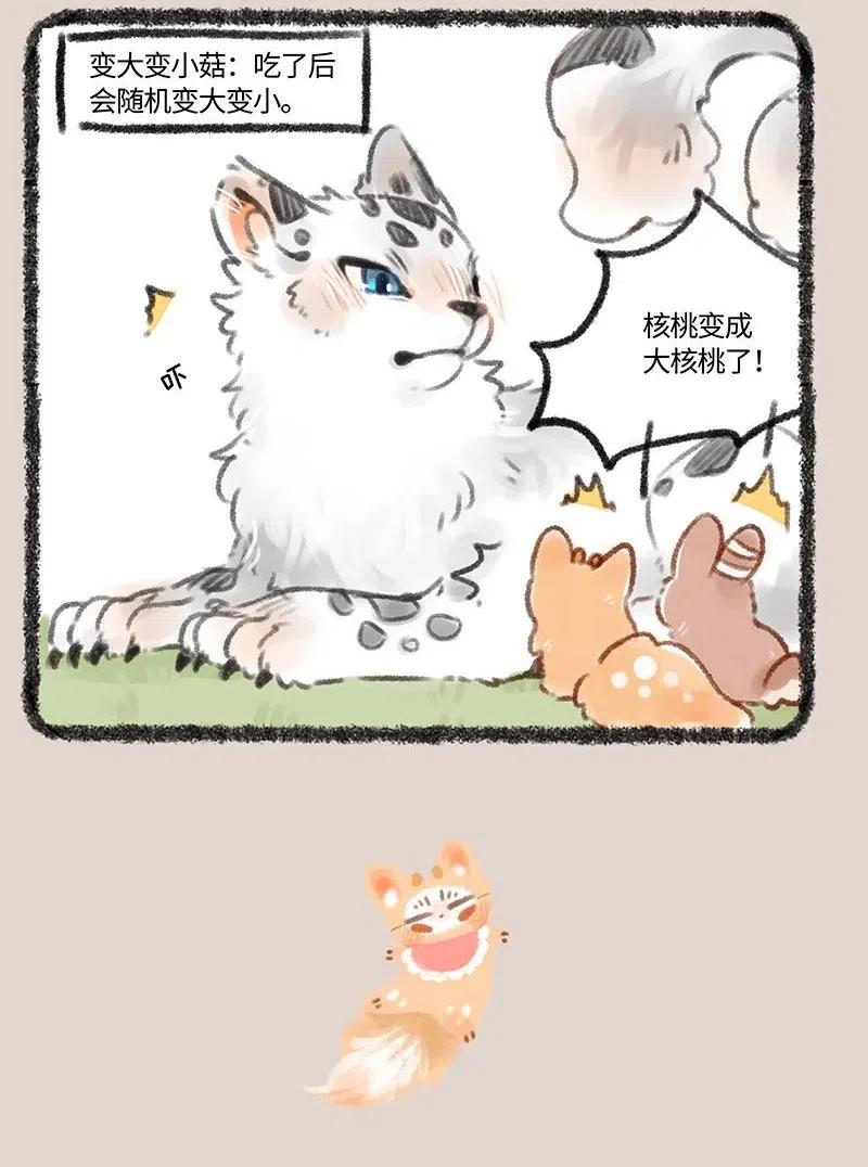 180 又见蘑菇3