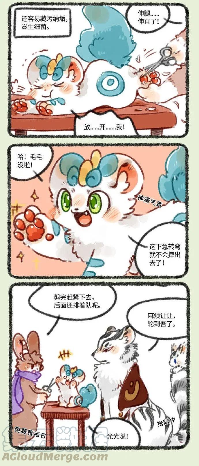 244 剪爪毛2
