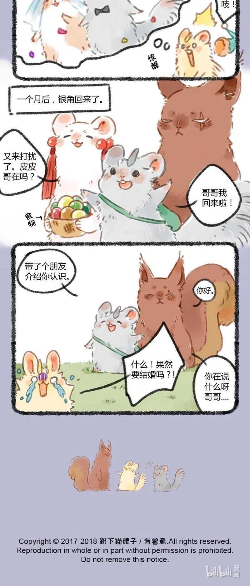 055 松鼠大哥3