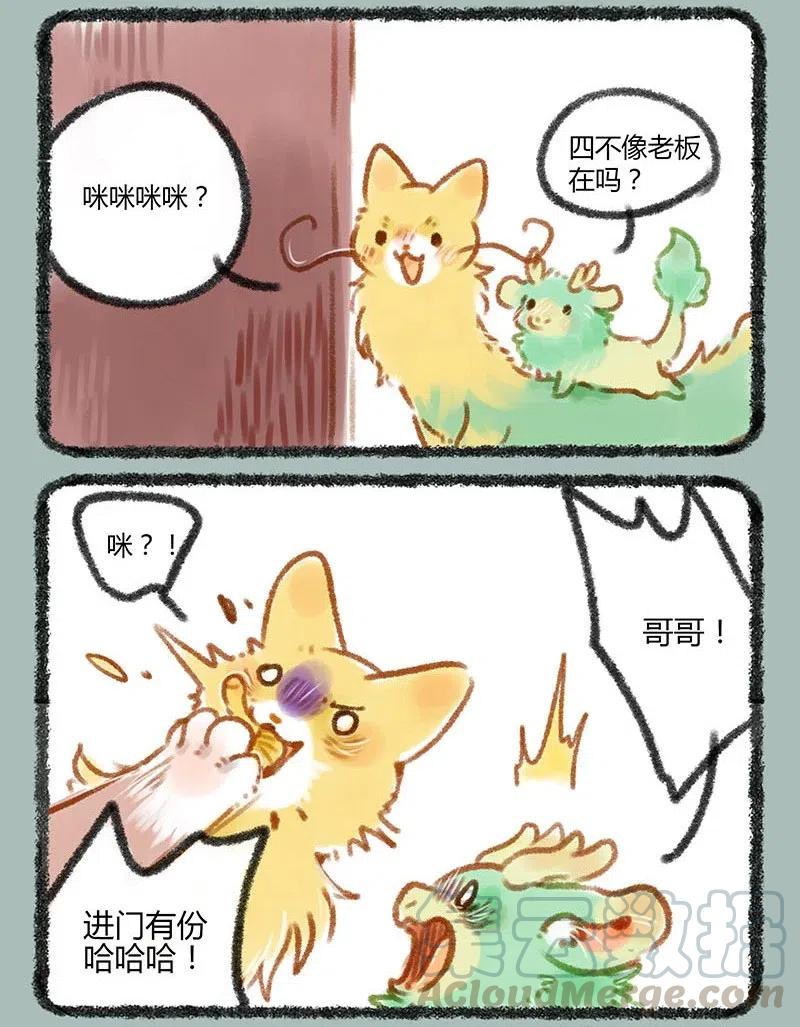 063 又到了吃蘑菇的季节4