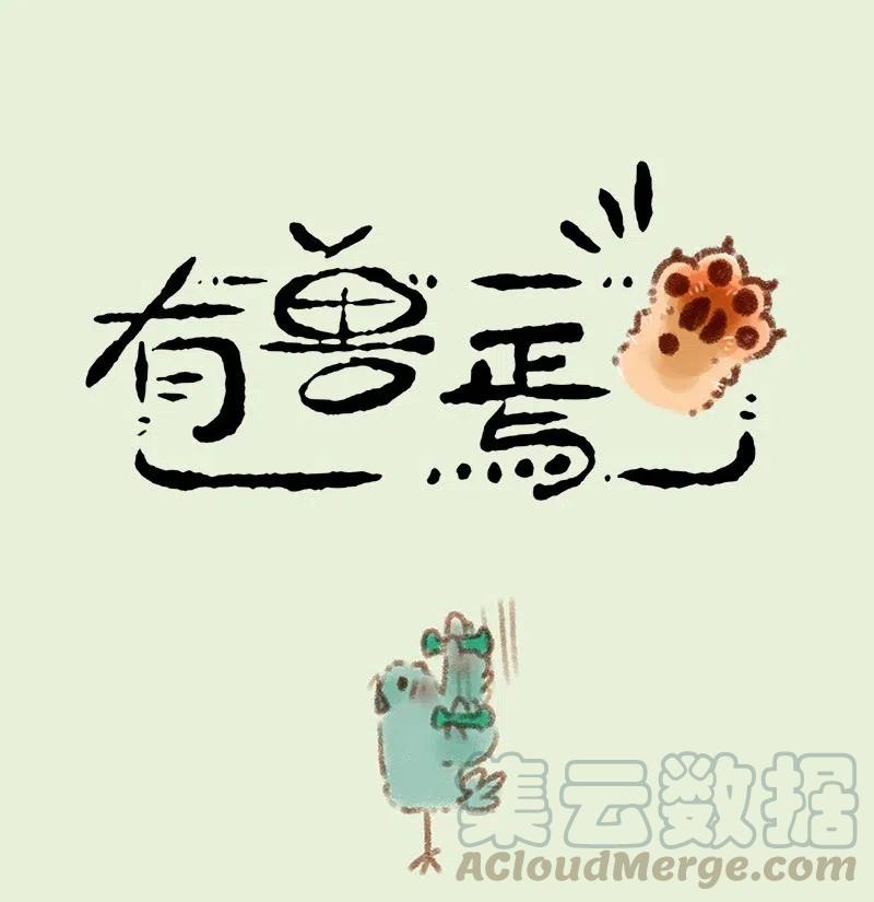 197 凤凰大人复出0