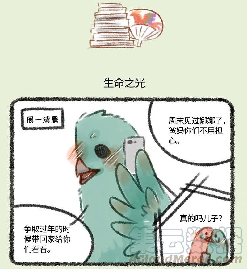 197 凤凰大人复出4