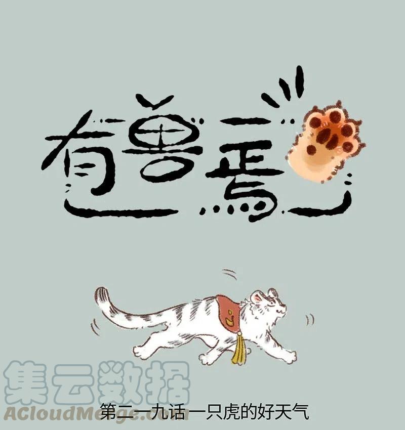219 一只虎的好天气0