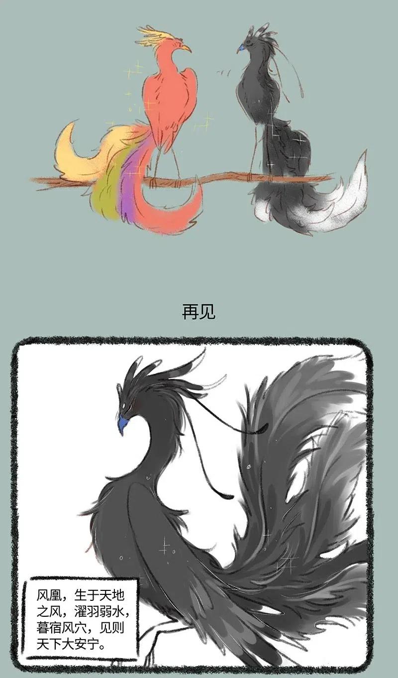 215 凤皇与风凰3