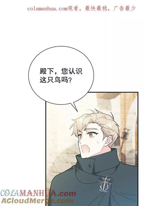 72.有缘分的鸟0