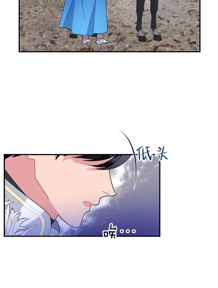 48.分享葡萄1