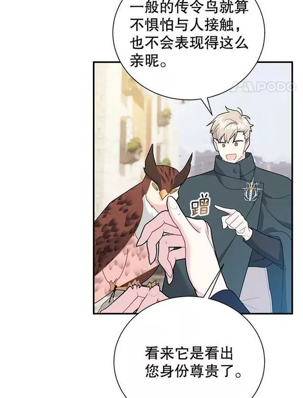 72.有缘分的鸟3
