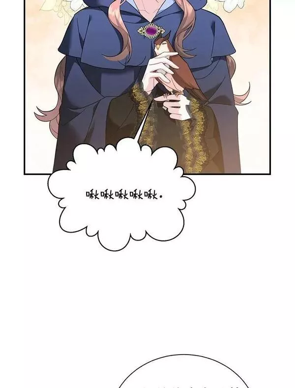 72.有缘分的鸟2